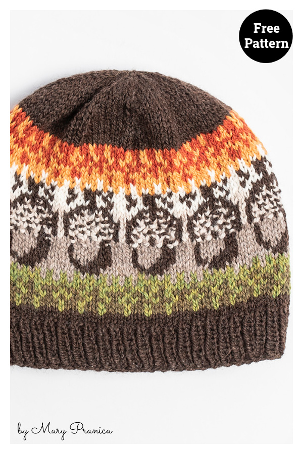 Acorn Street Cap Free Knitting Pattern