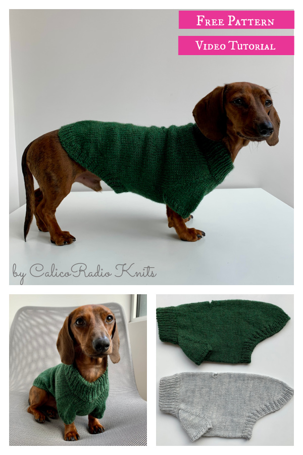 Portland Raglan Dog Sweater Free Knitting Pattern and Video Tutorial