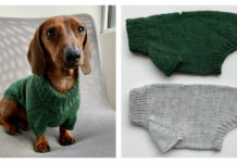 Portland Raglan Dog Sweater Free Knitting Pattern and Video Tutorial