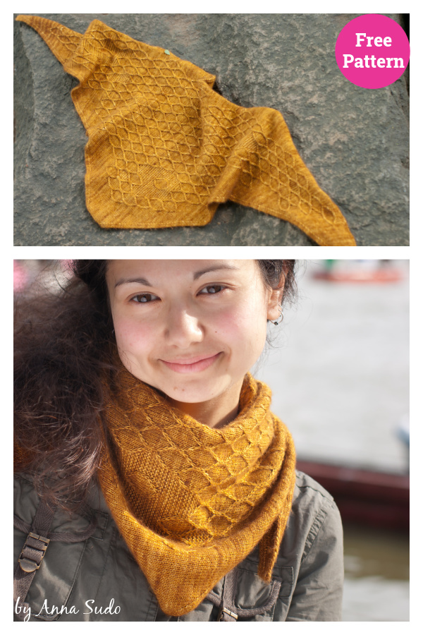 Apis Dorsata Shawl Free Knitting Pattern