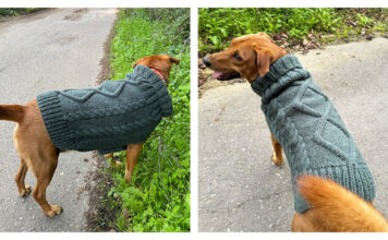 Aran Dog Sweater Free Knitting Pattern