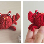 Pinchy the Crab Free Knitting Pattern