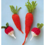 Carrot and Raddish Free Knitting Pattern