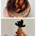 Cute Chantenay Carrot Free Knitting Pattern