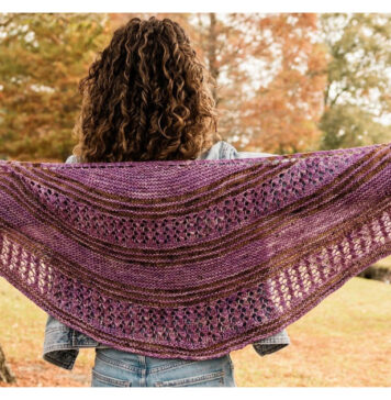 Modified Butterfly Shawl Free Knitting Pattern