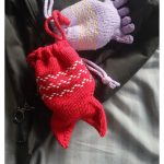 Koinobori Pouch Free Knitting Pattern