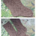 Woodland Walk Socks Free Knitting Pattern