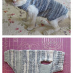 Boney Frank’s Pet Sweater Free Knitting Pattern