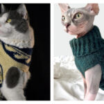 Cat Sweater Knitting Patterns