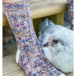 Chicken Scratch Socks Free Knitting Pattern