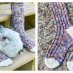 Chicken Scratch Socks Free Knitting Pattern