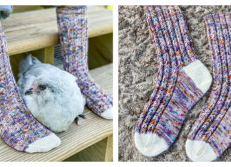 Chicken Scratch Socks Free Knitting Pattern