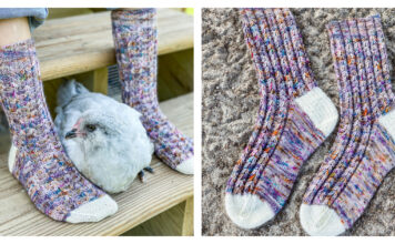 Chicken Scratch Socks Free Knitting Pattern