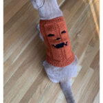Jack O’lantern Cat Sweater Free Knitting Pattern