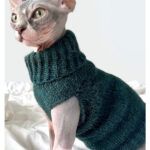 Luna Cat Sweater Knitting Pattern