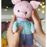 Mini Pig Free Knitting Pattern