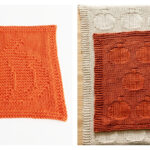 Pumpkin Texture Dishcloth Knitting Patterns