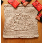 Pumpkin Texture Square Free Knitting Pattern