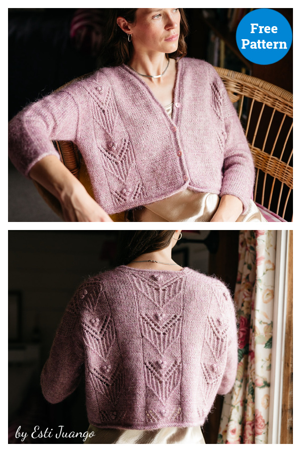 Antanilla Lace Cardigan Free Knitting Pattern