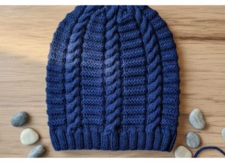 Beginner Cable Beanie Hat Free Knitting Pattern
