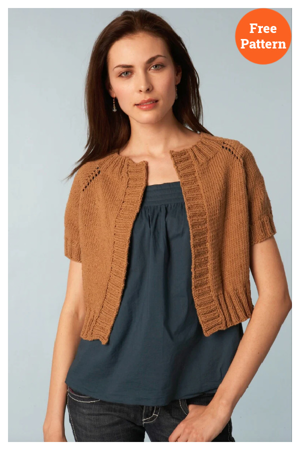 Cropped Raglan Sweater Free Knitting Pattern