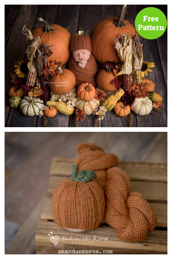 Pumpkin Spice Beanie Free Knitting Pattern