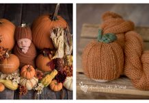 Pumpkin Spice Beanie Free Knitting Pattern