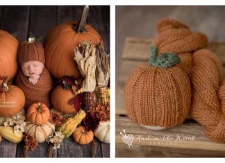 Pumpkin Spice Beanie Free Knitting Pattern