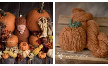 Pumpkin Spice Beanie Free Knitting Pattern
