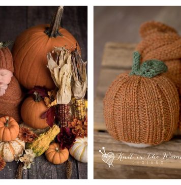 Pumpkin Spice Beanie Free Knitting Pattern Pumpkin Spice Beanie Free Knitting Pattern