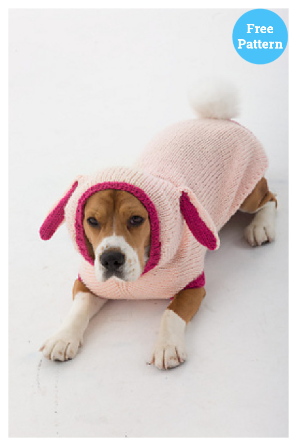 Bunny Dog Costume Free Knitting Pattern
