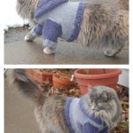 Cat Hoodie Knitting Pattern
