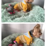 Hooded Dog Sweater Knitting Pattern