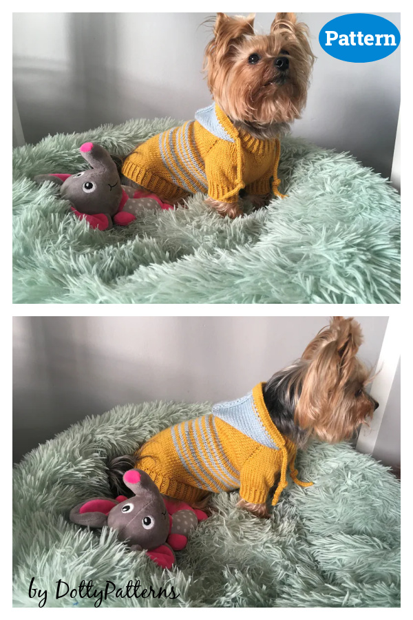 Hooded Dog Sweater Knitting Pattern