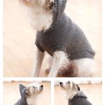 Hoodie Dog Coat Free Knitting Pattern