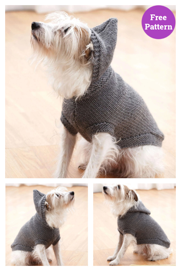 Hoodie Dog Coat Free Knitting Pattern