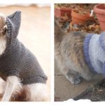 Pet Hooded Sweater Knitting Patterns