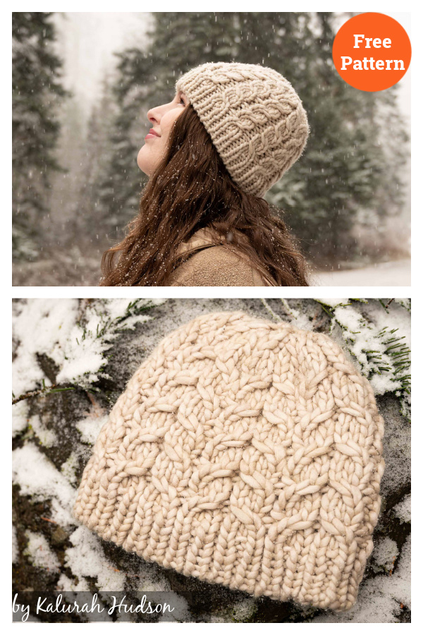 Arctic Snowbird Hat Free Knitting Pattern