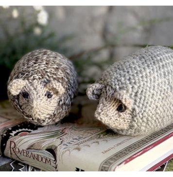 Little Hedgehogs Free Knitting Pattern