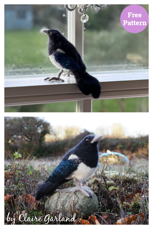 Magpie Bird Free Knitting Pattern