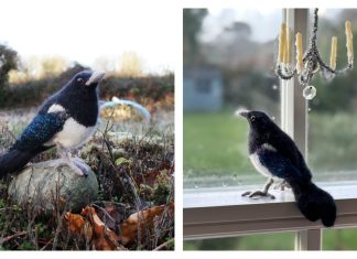 Magpie Bird Free Knitting Pattern