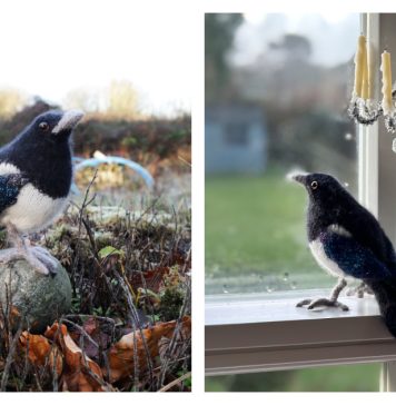 Magpie Bird Free Knitting Pattern