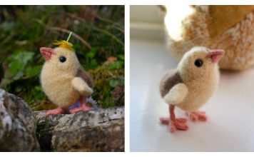 Chick Free Knitting Pattern