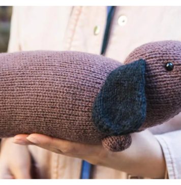 Comforting Dachshund Free Knitting Pattern
