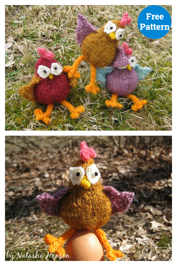 Crazy Chickens Free Knitting Pattern