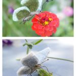 Butterflies Free Knitting Pattern