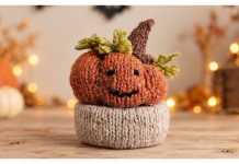 Pumpkin Treat Basket Free Knitting Pattern Pumpkin Treat Basket Free Knitting Pattern
