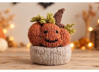 Pumpkin Treat Basket Free Knitting Pattern